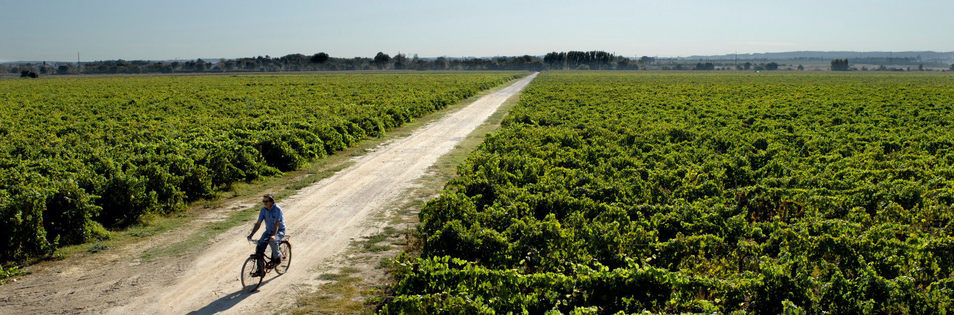 DHOMUS Quinta do Casal Monteiro_02