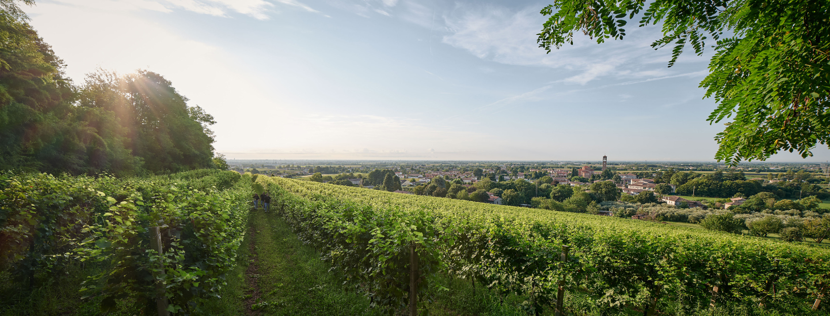 DHOMUS private label rivedellachiesa